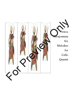 Product Thumbnail 0